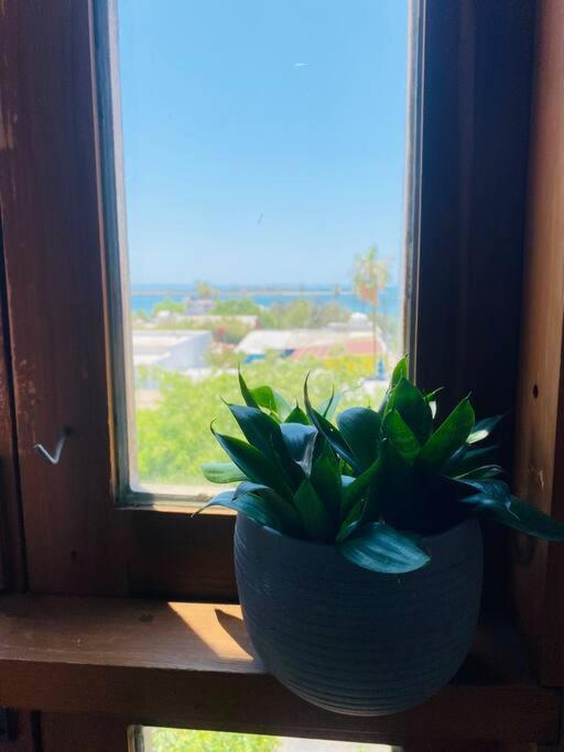 Appartamento Casa Bahia 2 Blocks Malecon Amaizing Ocean View La Paz Esterno foto